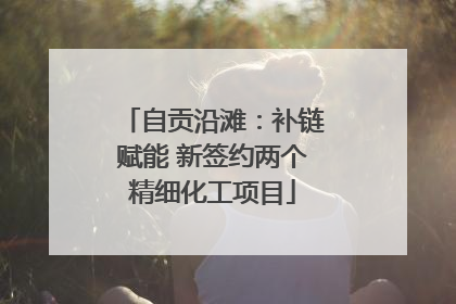 自贡沿滩：补链赋能 新签约两个精细化工项目
