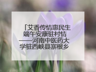 艾香传情惠民生 端午安康驻村情——河南中医药大学驻西峡县寨根乡桑树村工作队端午中医惠民记