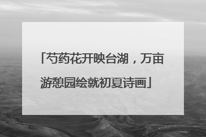 芍药花开映台湖，万亩游憩园绘就初夏诗画