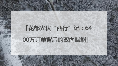 花都光伏“西行”记：6400万订单背后的双向赋能