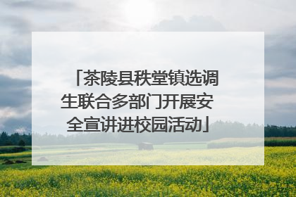 茶陵县秩堂镇选调生联合多部门开展安全宣讲进校园活动