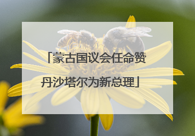 蒙古国议会任命赞丹沙塔尔为新总理