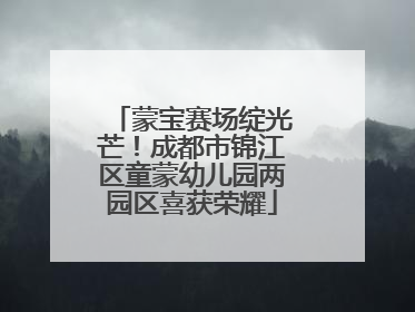 蒙宝赛场绽光芒！成都市锦江区童蒙幼儿园两园区喜获荣耀