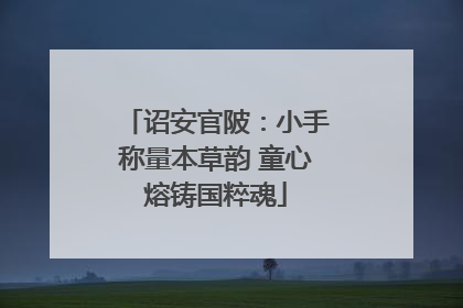 诏安官陂：小手称量本草韵 童心熔铸国粹魂