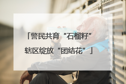 警民共育“石榴籽” 辖区绽放“团结花”