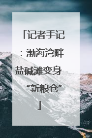 记者手记：渤海湾畔盐碱滩变身“新粮仓”