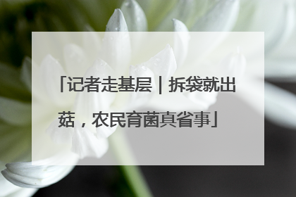 记者走基层｜拆袋就出菇，农民育菌真省事