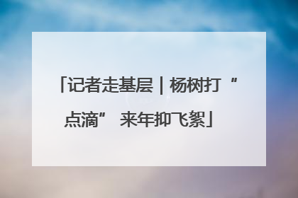 记者走基层｜杨树打“点滴” 来年抑飞絮