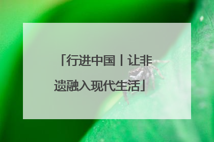 行进中国丨让非遗融入现代生活