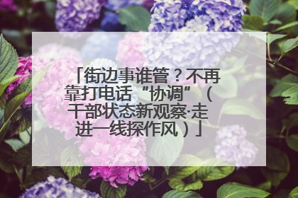 街边事谁管？不再靠打电话“协调”（干部状态新观察·走进一线探作风）