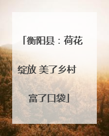 衡阳县：荷花绽放 美了乡村 富了口袋