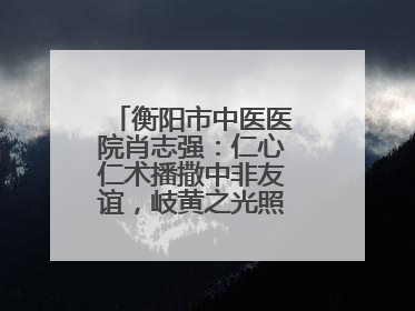 衡阳市中医医院肖志强：仁心仁术播撒中非友谊，岐黄之光照亮津巴大地