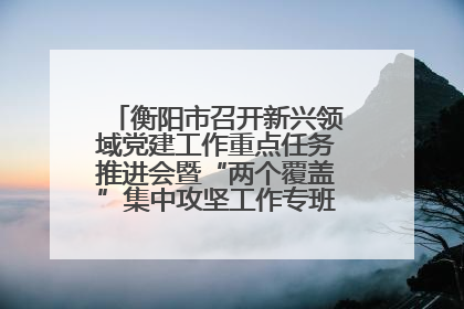衡阳市召开新兴领域党建工作重点任务推进会暨“两个覆盖”集中攻坚工作专班 第一次会议