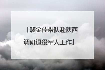 裴金佳带队赴陕西调研退役军人工作