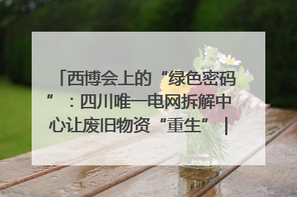 西博会上的“绿色密码”：四川唯一电网拆解中心让废旧物资“重生”｜西博寻“新”记