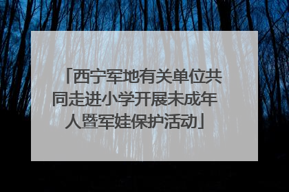 西宁军地有关单位共同走进小学开展未成年人暨军娃保护活动