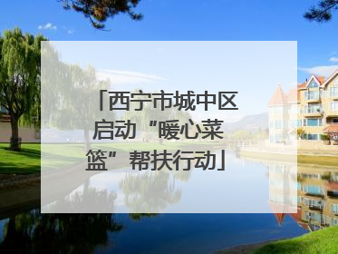 西宁市城中区 启动“暖心菜篮”帮扶行动