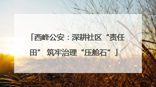 西峰公安：深耕社区“责任田” 筑牢治理“压舱石”