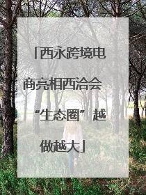 西永跨境电商亮相西洽会“生态圈”越做越大
