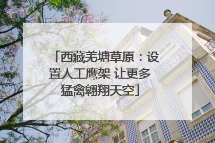 西藏羌塘草原：设置人工鹰架 让更多猛禽翱翔天空