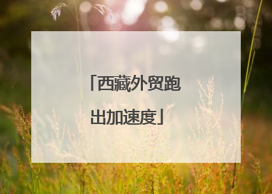 西藏外贸跑出加速度