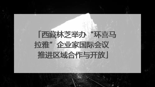 西藏林芝举办“环喜马拉雅”企业家国际会议 推进区域合作与开放