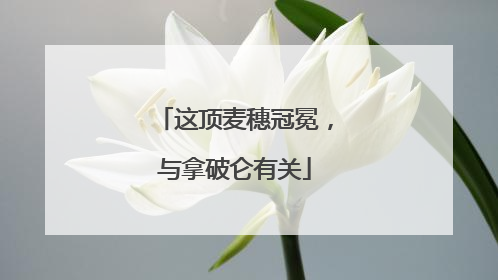 这顶麦穗冠冕，与拿破仑有关