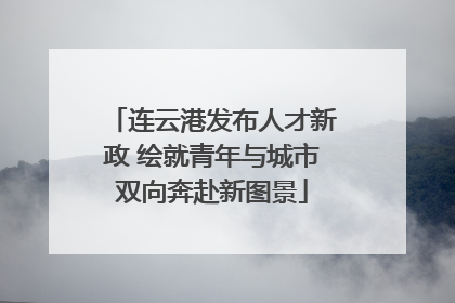 连云港发布人才新政 绘就青年与城市双向奔赴新图景