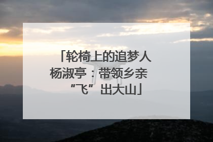 轮椅上的追梦人杨淑亭：带领乡亲“飞”出大山
