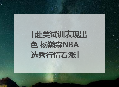 赴美试训表现出色 杨瀚森NBA选秀行情看涨