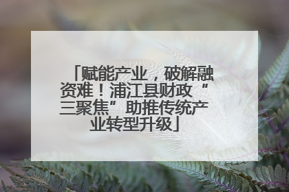 赋能产业，破解融资难！浦江县财政“三聚焦”助推传统产业转型升级