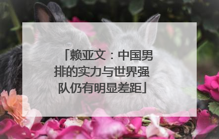 赖亚文：中国男排的实力与世界强队仍有明显差距
