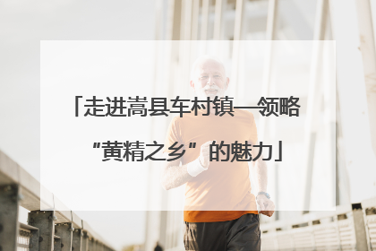 走进嵩县车村镇—领略“黄精之乡”的魅力