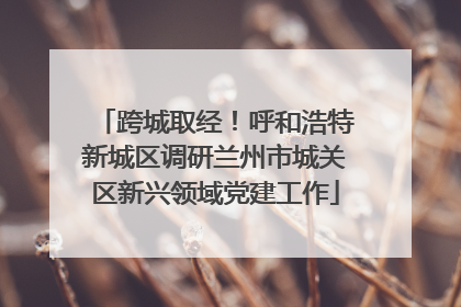 跨城取经！呼和浩特新城区调研兰州市城关区新兴领域党建工作