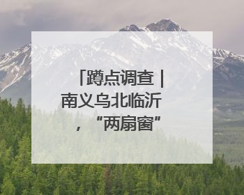 蹲点调查｜南义乌北临沂，“两扇窗”里观外贸