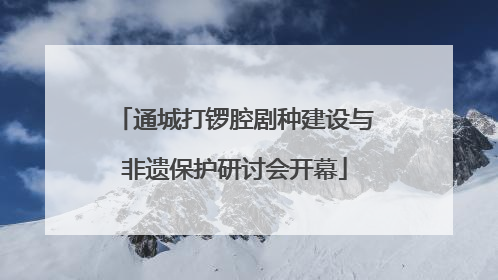 通城打锣腔剧种建设与非遗保护研讨会开幕