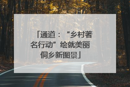 通道：“乡村著名行动”绘就美丽侗乡新图景