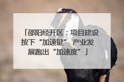 邵阳经开区：项目建设按下“加速键” 产业发展跑出“加速度”