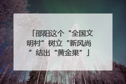 邵阳这个“全国文明村”树立“新风尚”结出“黄金果”
