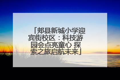 郏县新城小学迎宾街校区：科技游园会点亮童心 探索之旅启航未来