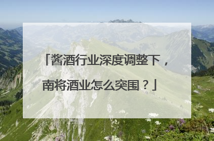酱酒行业深度调整下，南将酒业怎么突围？