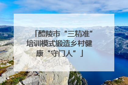 醴陵市“三精准”培训模式锻造乡村健康“守门人”