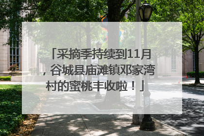 采摘季持续到11月，谷城县庙滩镇邓家湾村的蜜桃丰收啦！