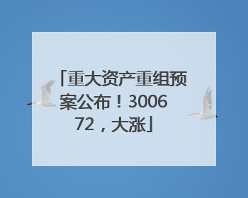 重大资产重组预案公布！300672，大涨