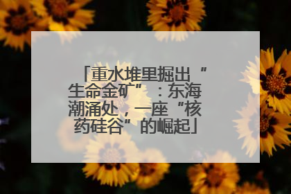 重水堆里掘出“生命金矿”：东海潮涌处，一座“核药硅谷”的崛起