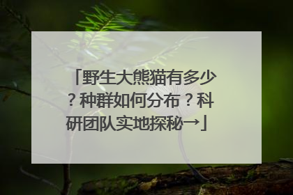野生大熊猫有多少？种群如何分布？科研团队实地探秘→