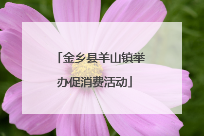 金乡县羊山镇举办促消费活动