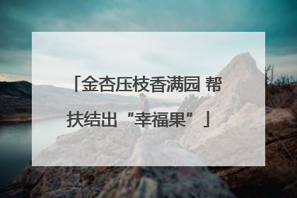 金杏压枝香满园 帮扶结出“幸福果”