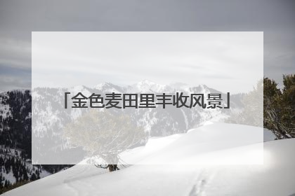 金色麦田里丰收风景