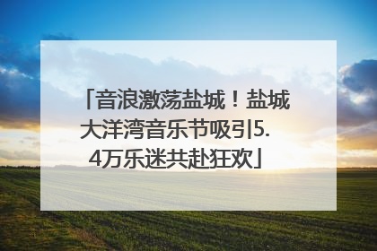 音浪激荡盐城！盐城大洋湾音乐节吸引5.4万乐迷共赴狂欢
